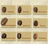 探索10大阿拉比卡咖啡豆品種完全指南 - Quality Life Coffee