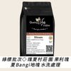 E87 Gesha Village Ethiopia Bangi Block Gori Gesha Washed Lot.21/029 - Quality Life Coffee