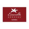P17 100g Panama Boquete Esmeralda Special Collection Washed Canas Verde Geisha 巴拿馬翡翠莊園紅標藝妓咖啡豆 only $288