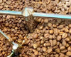 淺烘焙咖啡豆:品味咖啡的原始風味 - Quality Life Coffee