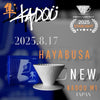 日本製 星芒濾杯「極」M1濾杯 錐形陶瓷濾杯 Kadou & Hasami波佐見燒