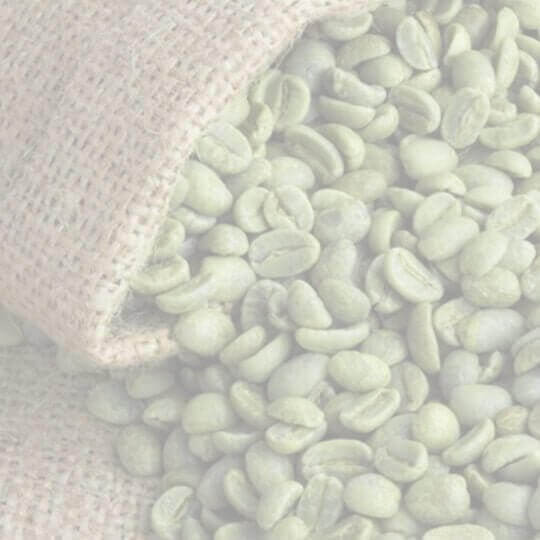 E02(Raw) Ethiopia Guji G1 Washed Green Coffee Beans