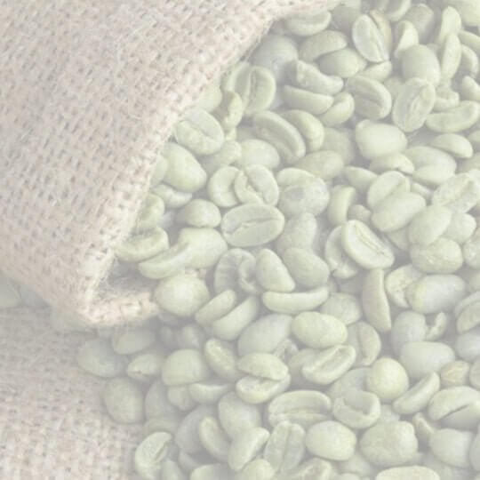 E16(Raw) Ethiopia Washed Guji Ana Sora Enzyme-washed Peach Oolong Raw Coffee Beans