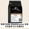 E91 [Growers Reserve] Gesha Village Gaylee Block Illubabar Forest Washed Lot.12 - Quality Life Coffee
