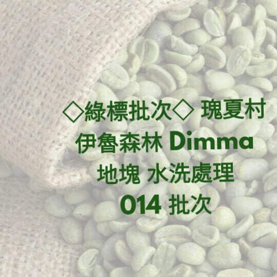 E38(Raw) [Single Terroir] Gesha Village Dimma Block Illubabor Forest Washed Lot.22/014 Green Coffee Bean - Quality Life Coffee