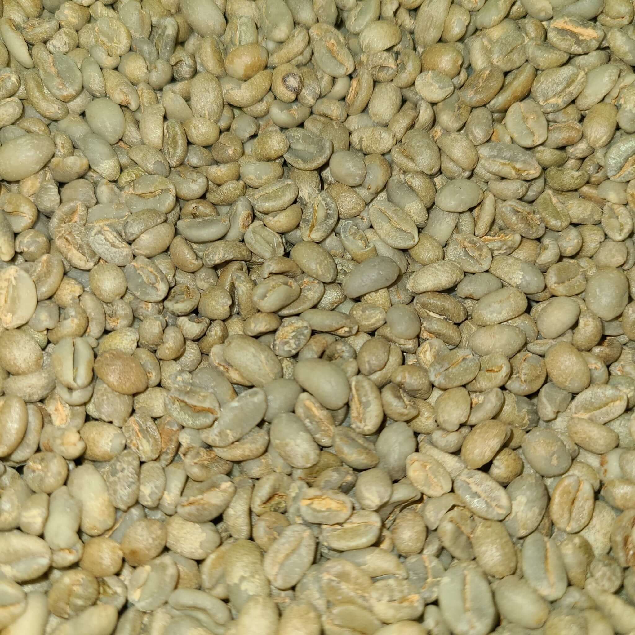 E92(Raw) Ethiopia Guji Natural Dasaya G1 Green Coffee Bean - Quality Life Coffee