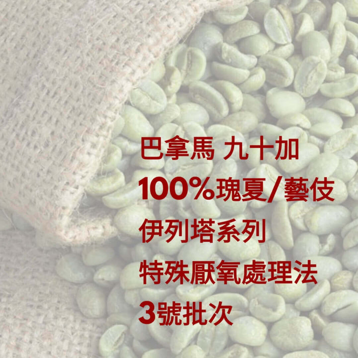 P40 (Raw) Panama NINETY PLUS Eleta Geisha Series Special Anaerobic Lot 3 - Quality Life Coffee